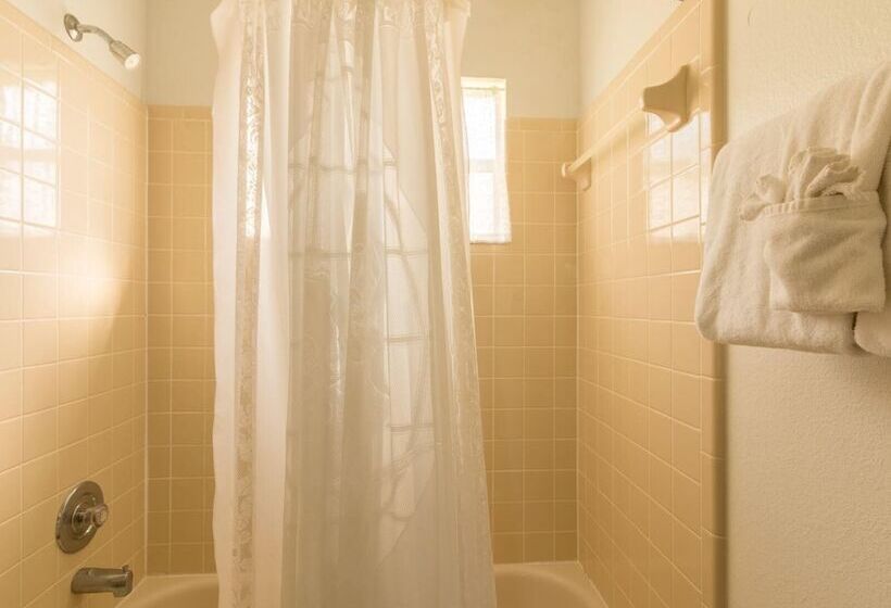 Sunshine, Love, And Happiness In A Home Thats Cute As A Button 3bd 2552