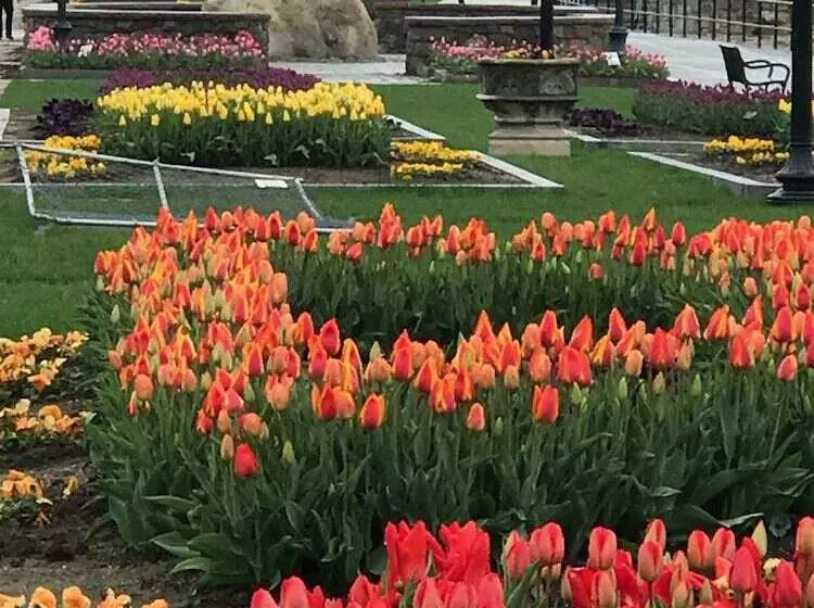 Aamiaismajoitus (B&B) The Hydrangea Inn