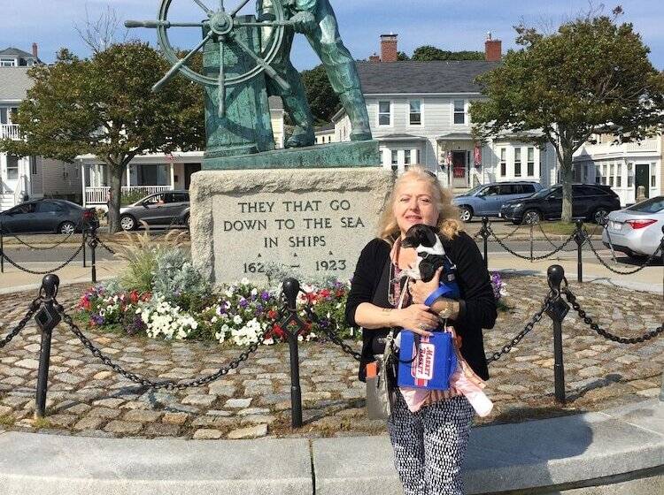 צימר The Hydrangea Inn