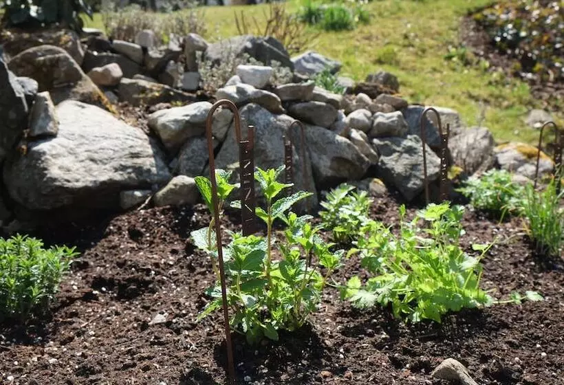 Chalet Am Birkenhain