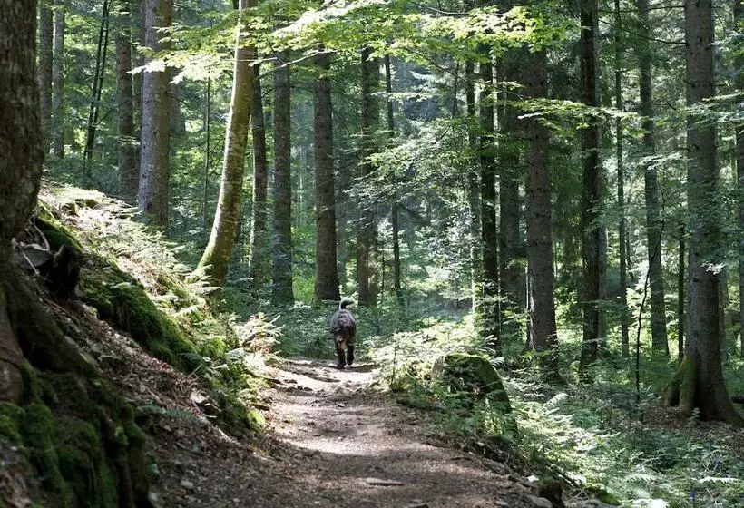 Chalet Am Birkenhain