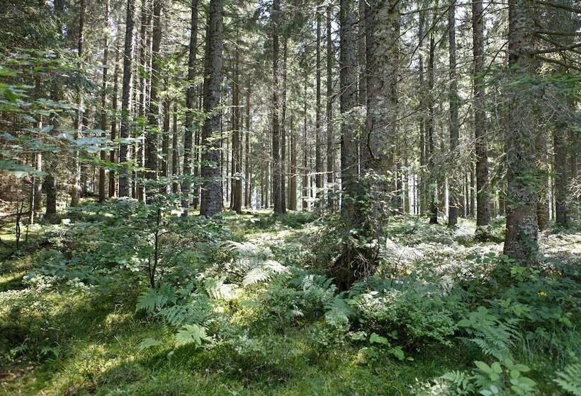 Chalet Am Birkenhain