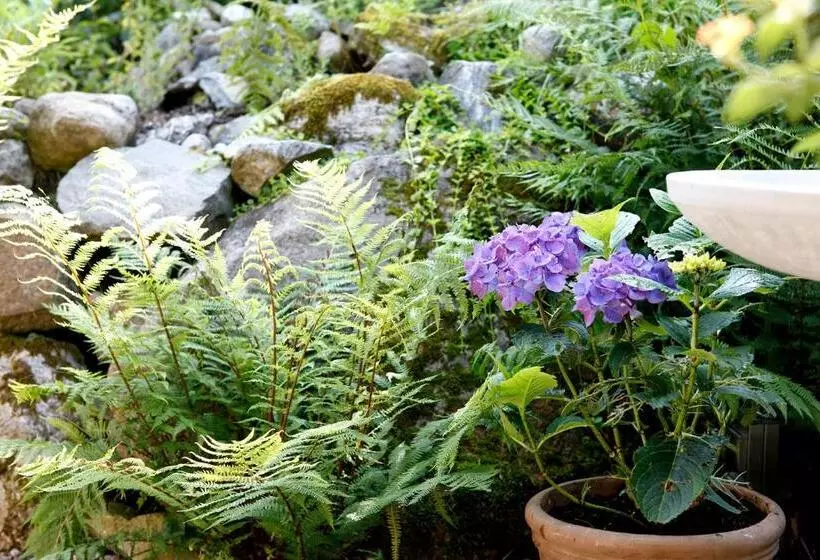 Chalet Am Birkenhain