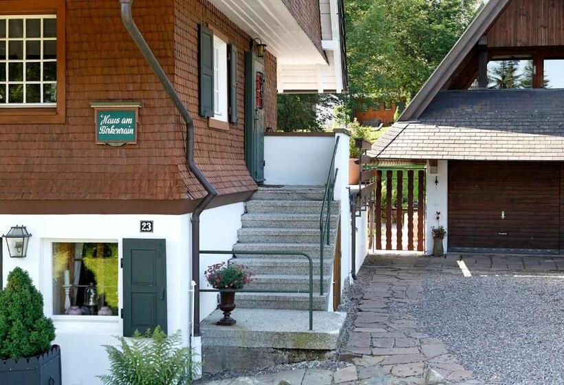 Chalet Am Birkenhain