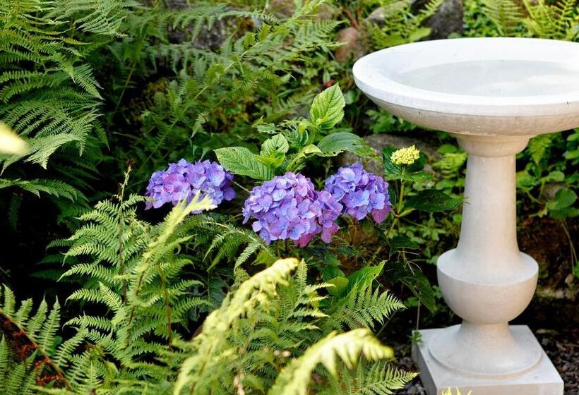 Chalet Am Birkenhain