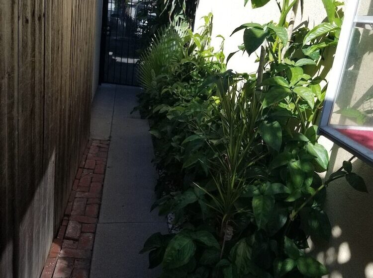 膳宿费 Cynnies Home