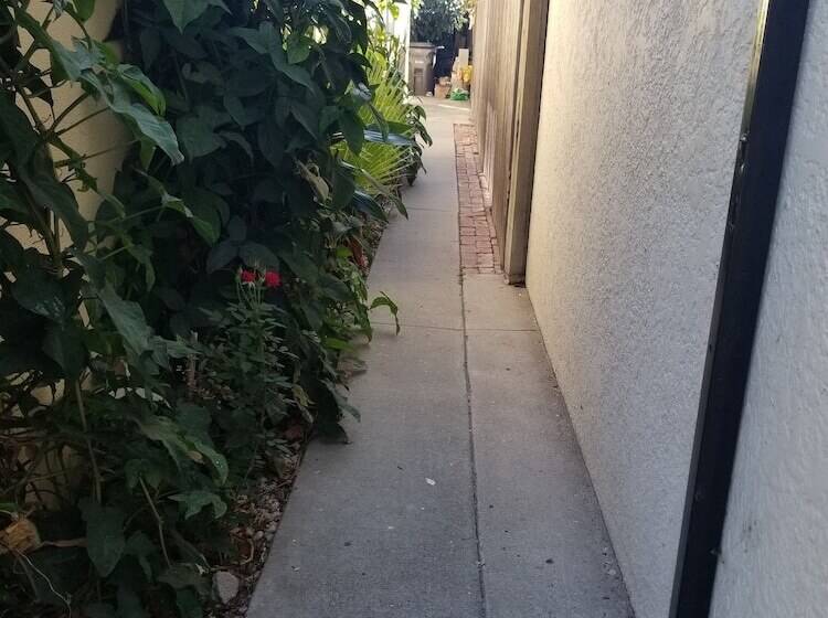 膳宿费 Cynnies Home