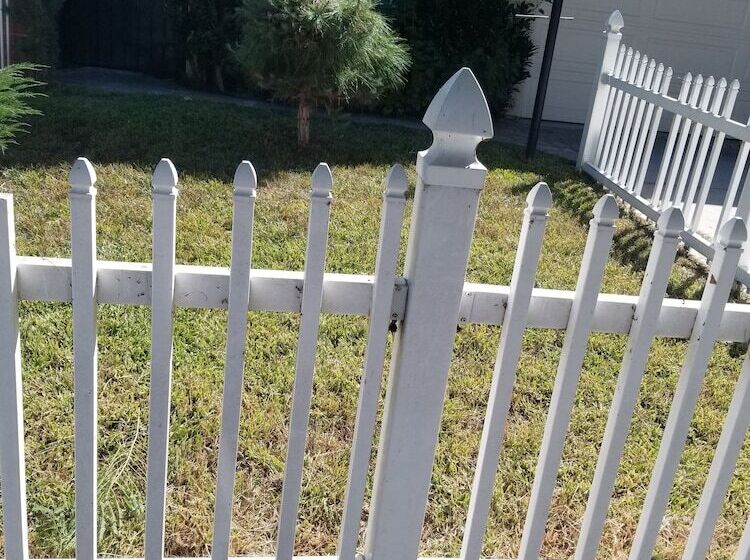 膳宿费 Cynnies Home