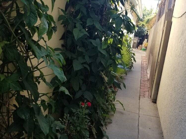 膳宿费 Cynnies Home