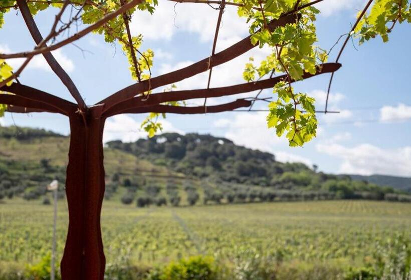 צימר Podere Vignanova Rooms & Spa