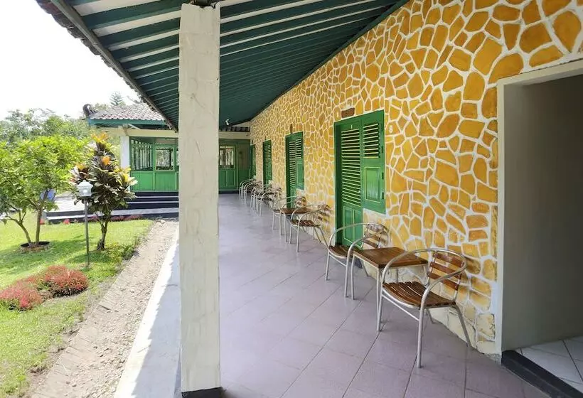 ホテル O Penginapan Kepurun Pawana Indonesia