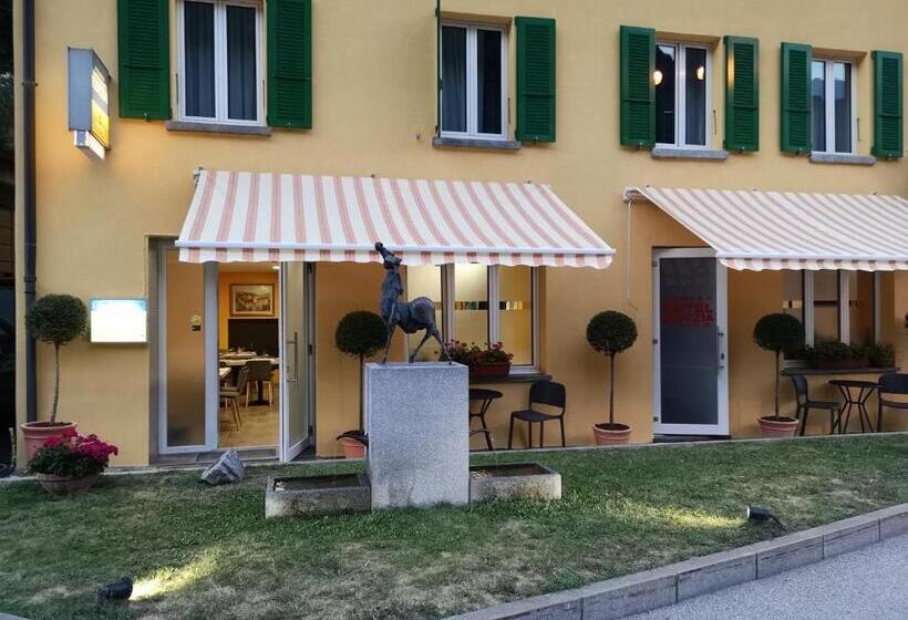 فندق Elvezia Self Check In