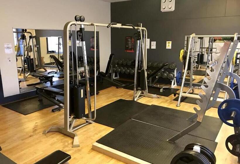 هتل L Carl Friman