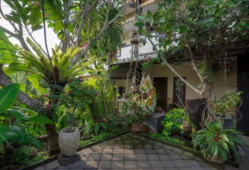 هتل Terrace Garden Homestay And Spa