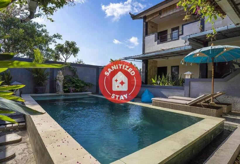 فندق Terrace Garden Homestay And Spa