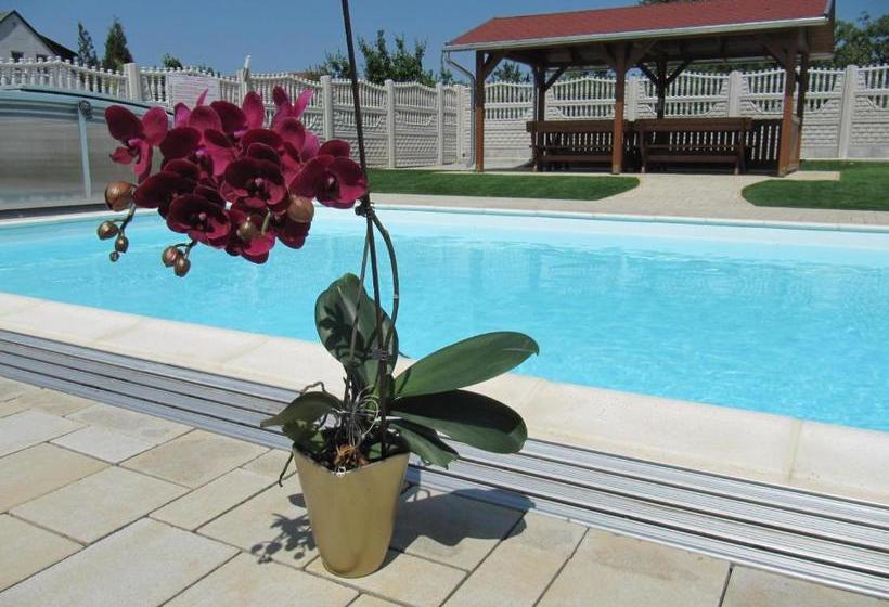 بنسيون Villa Jäger