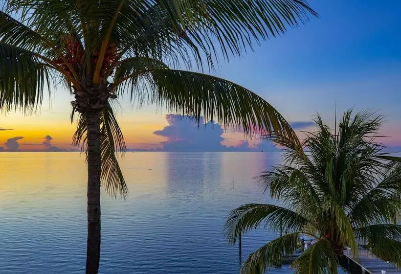 Отель Amara Cay Resort