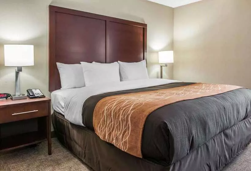 فندق Comfort Inn Blue Ash North