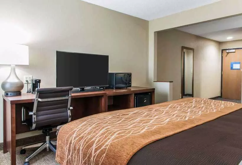 فندق Comfort Inn Blue Ash North