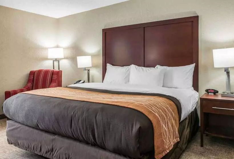 فندق Comfort Inn Blue Ash North