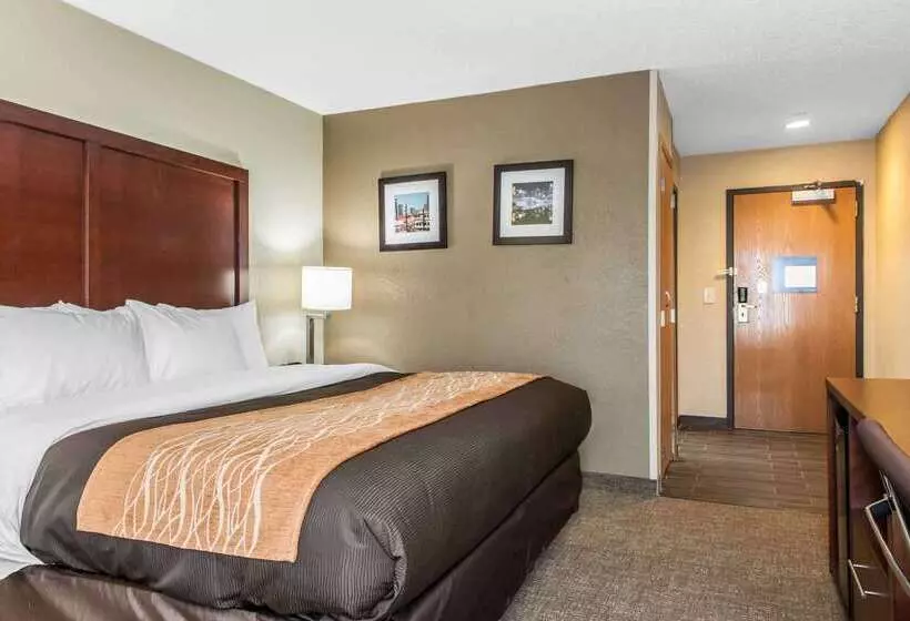 فندق Comfort Inn Blue Ash North