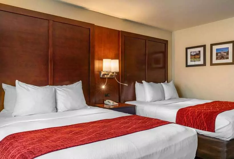 酒店 Comfort Inn Fairfield Napa Valley Area