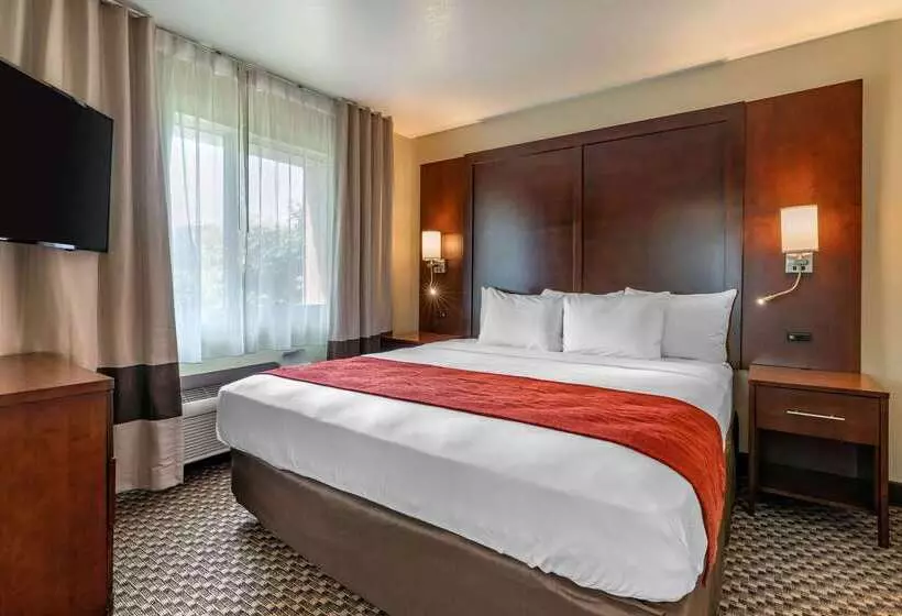 酒店 Comfort Inn Fairfield Napa Valley Area