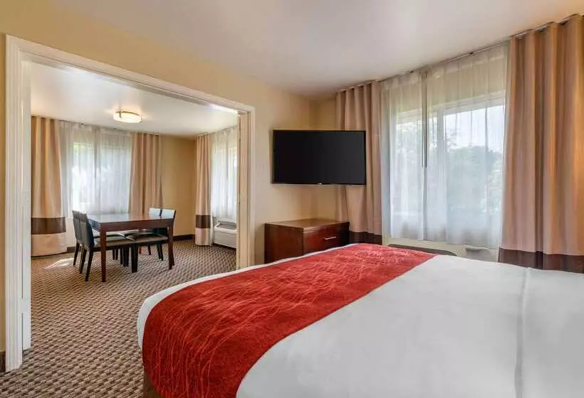 酒店 Comfort Inn Fairfield Napa Valley Area