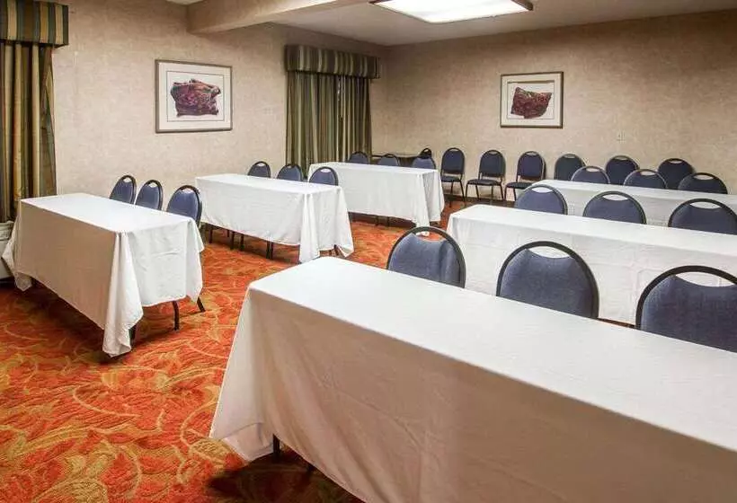 酒店 Comfort Inn I 10 West At 51st Ave