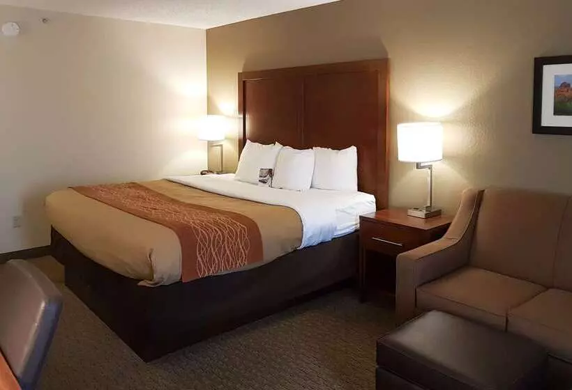 酒店 Comfort Inn I 10 West At 51st Ave