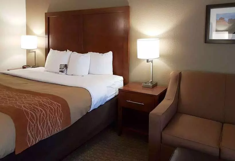 酒店 Comfort Inn I 10 West At 51st Ave