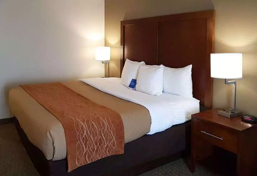 酒店 Comfort Inn I 10 West At 51st Ave