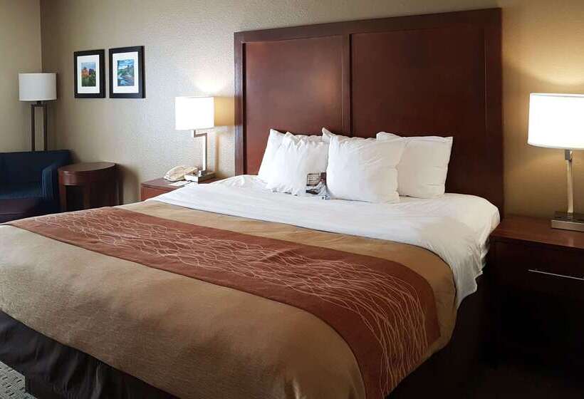 Hotel Comfort Inn I 10 West At 51st Ave