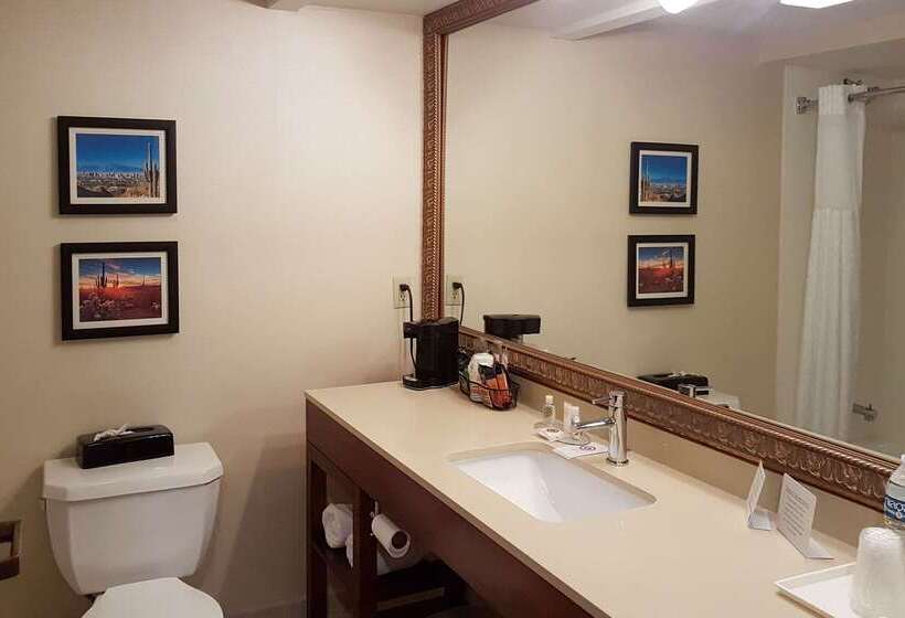 Hotel Comfort Inn I 10 West At 51st Ave