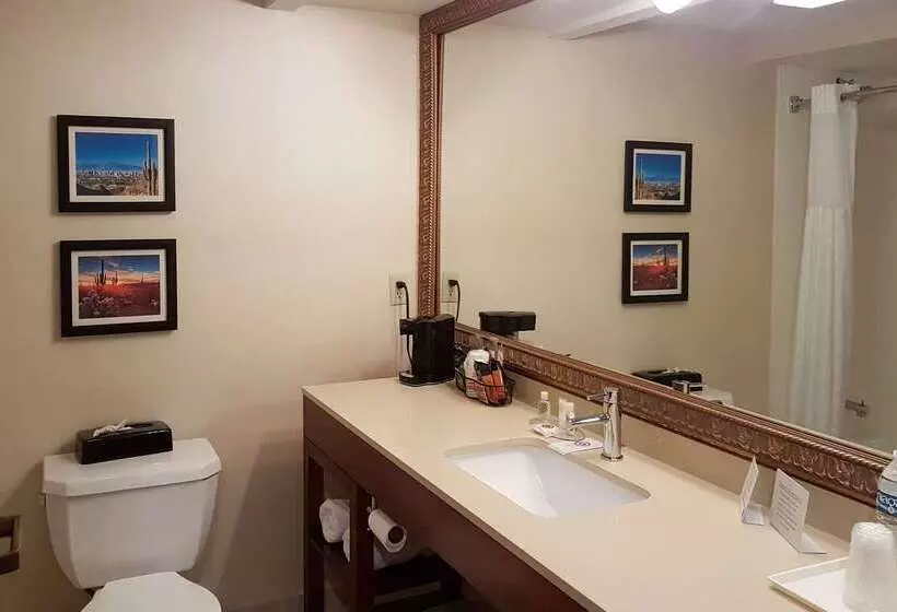 酒店 Comfort Inn I 10 West At 51st Ave