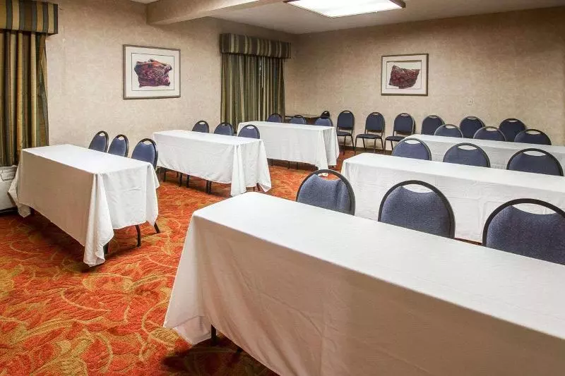 酒店 Comfort Inn I 10 West At 51st Ave