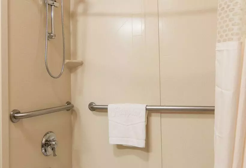 בית מלון כפרי Hampton Inn Boise  Airport