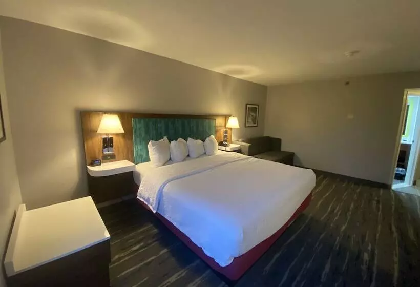 בית מלון כפרי Hampton Inn Bridgeport/clarksburg