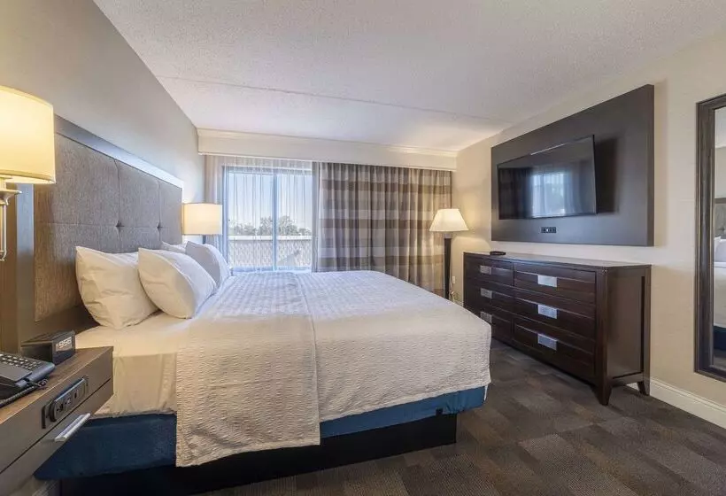 בית מלון כפרי Hampton Inn Carlstadtat The Meadowlands