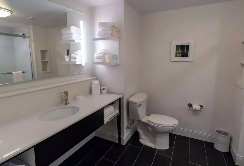 בית מלון כפרי Hampton Inn Carlstadtat The Meadowlands