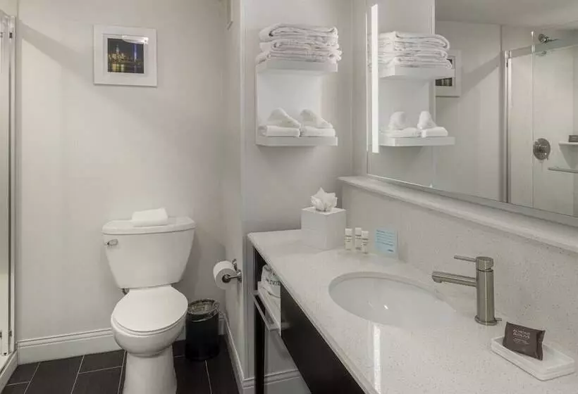 בית מלון כפרי Hampton Inn Carlstadtat The Meadowlands