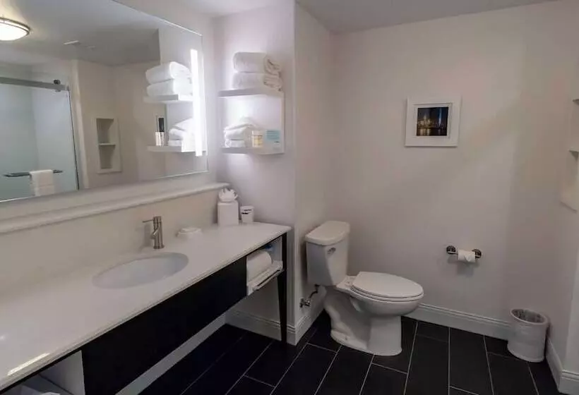 בית מלון כפרי Hampton Inn Carlstadtat The Meadowlands