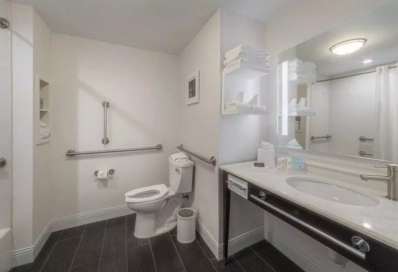 בית מלון כפרי Hampton Inn Carlstadtat The Meadowlands