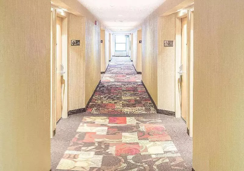 ホテル Hampton Inn Chattanooga/hixson