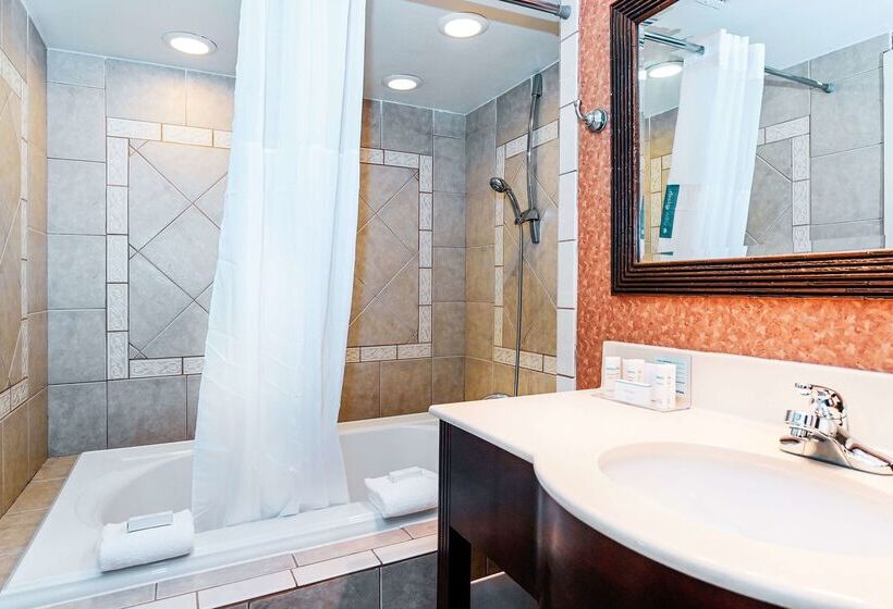 호텔 Hampton Inn Chester