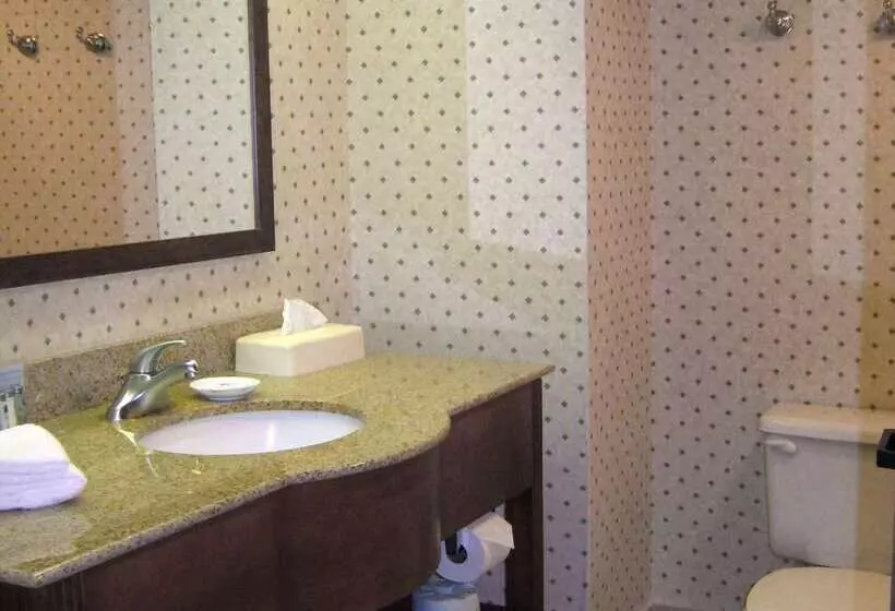 Отель Hampton Inn Cincinnati/kings Island