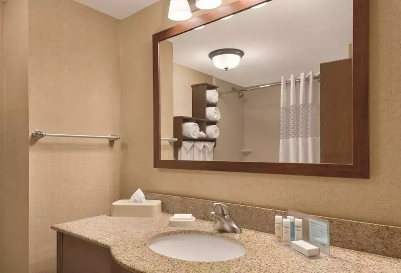 Отель Hampton Inn Cincinnati/kings Island