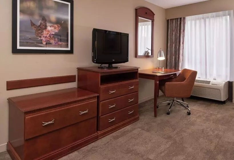 ホテル Hampton Inn Columbia Northeastfort Jackson Area