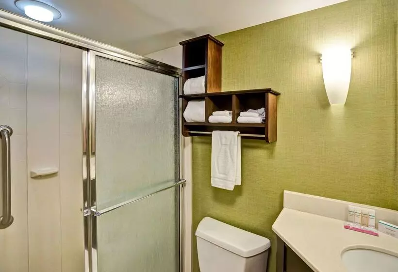 酒店 Hampton Inn Knoxvilleairport