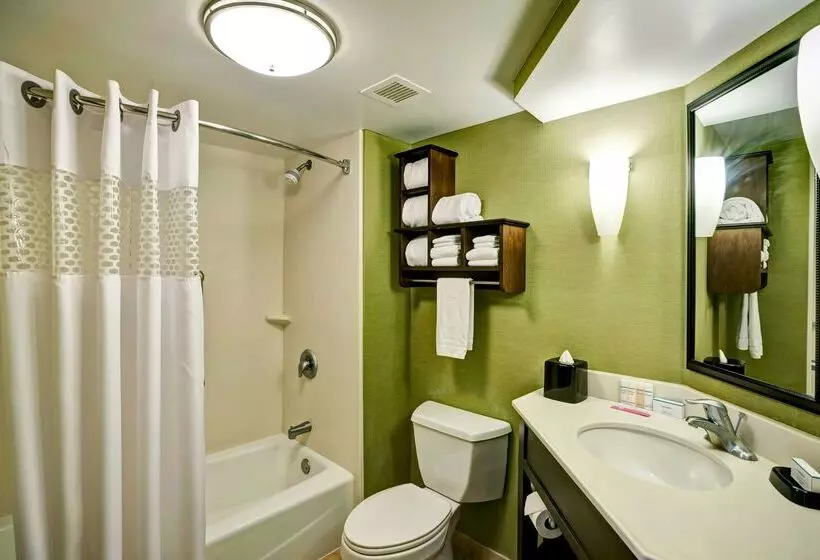 酒店 Hampton Inn Knoxvilleairport